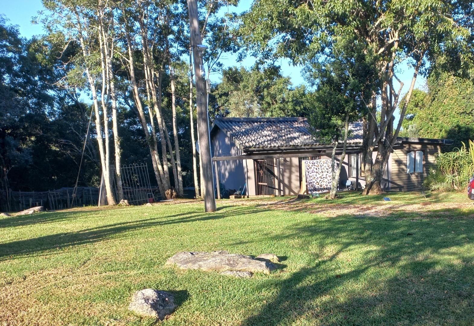 769599_20250501_085019.jpg